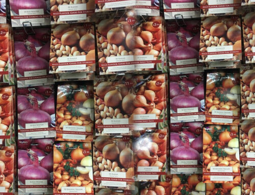 Seed potatoes & onion sets are in stock now!